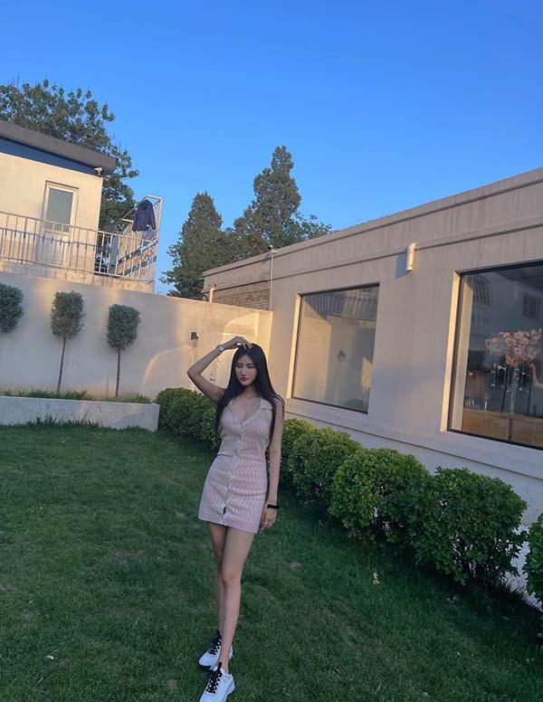 旧金山伴游大学生