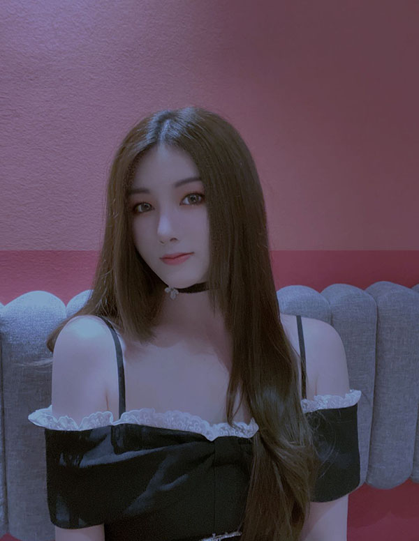 多伦多伴游价格